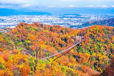 🌳 부민의 숲 호시다 공원(후민노모리 호시다엔치) 이미지 2